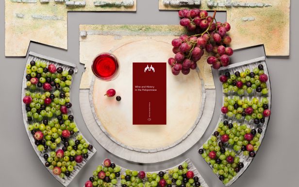 Aerial view of Epidaurus with graphic details of grapes for the Wine Tour from Athens by Discover Greek Culture